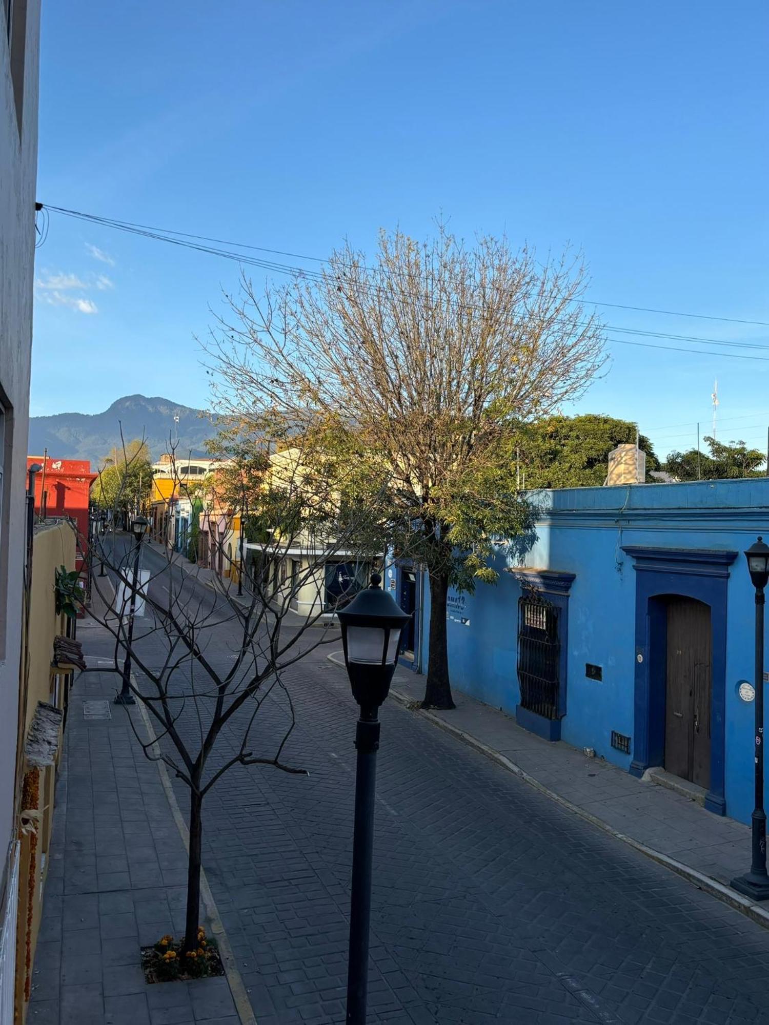 Departamento En El Centro De Oaxaca Apartment ภายนอก รูปภาพ
